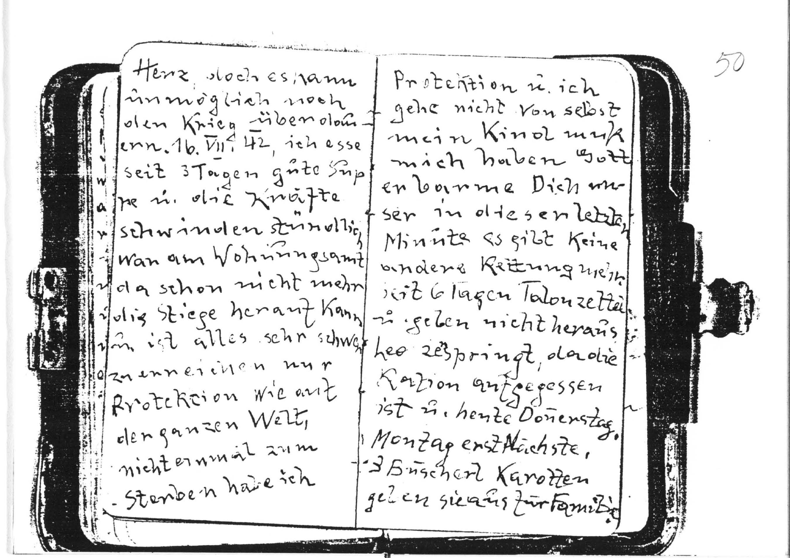 Diary of Irene Hauser | Experiencing History: Holocaust Sources in Context