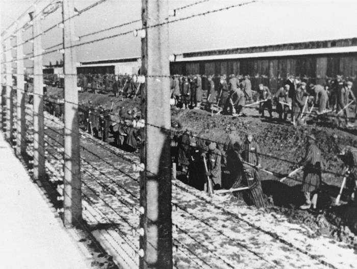 Forced laborers in Auschwitz