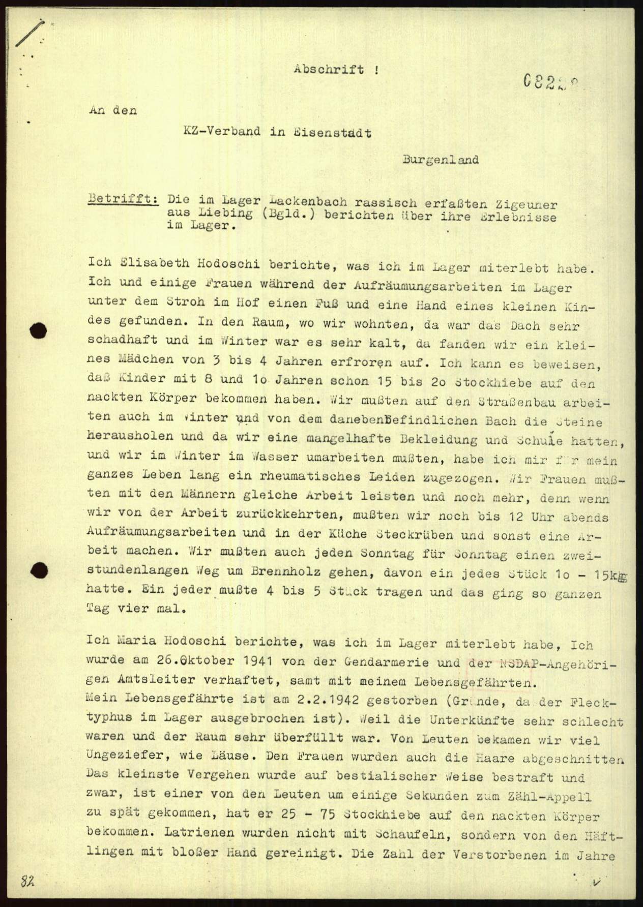 Hodoschi family testimonies