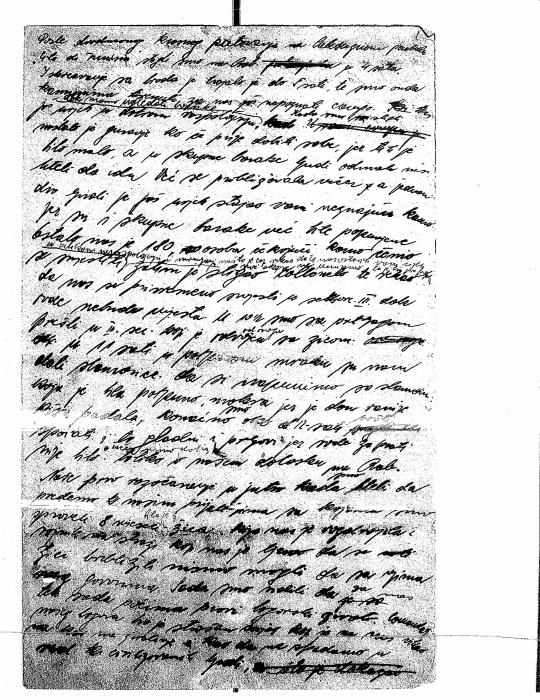 Kohn, Elvira Diary 1943